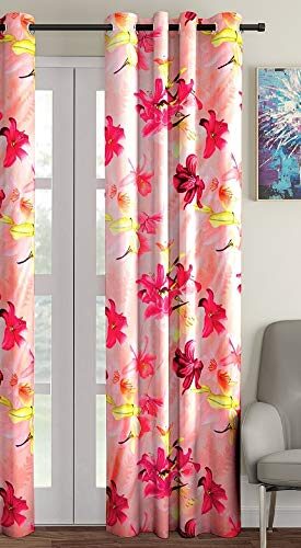 Home Sizzler Door Curtain